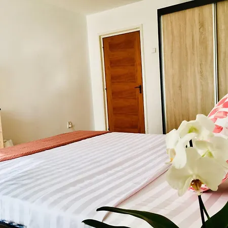 Downtown Unirii 2 Private With Shared Amenities Lägenhet Bukarest